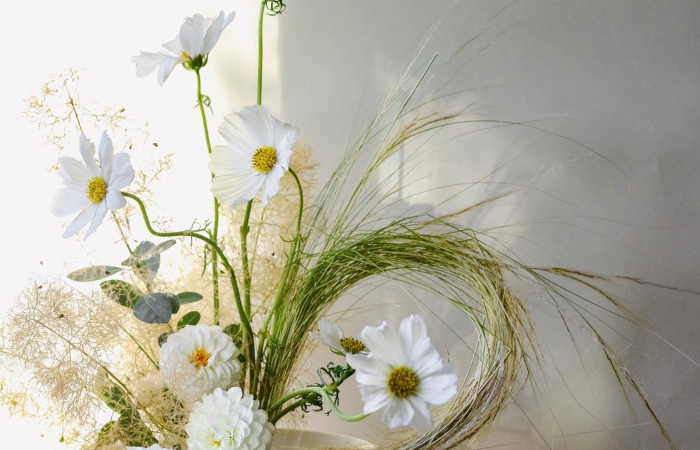 Détail floral